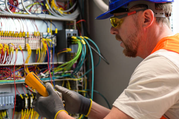 Best Affordable Electrician  in Honokaa, HI